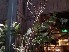 -湊湊火锅·茶憩(石家庄万象城店)