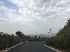 -定都峰