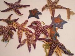 -那香海钻石沙滩浴场