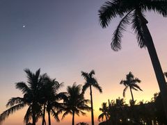 -东澳岛