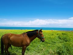 -青海湖国家重点风景名胜区