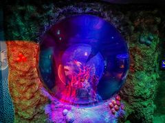 -沈阳海洋探索中心