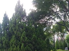 -十九路军淞沪抗日阵亡将士陵园