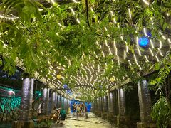 -花溪风景区