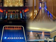 -海合安武汉极地海洋公园