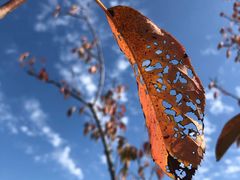 -杭州城北体育公园