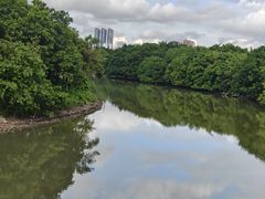 -海珠湖公园