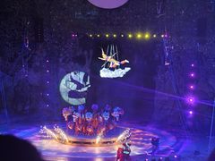 -灵玲国际马戏城