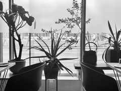 景观位-半山腰·云南菜(侨福芳草地店)