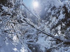 -峡谷浮石林景区