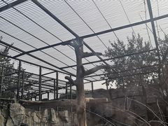 -石家庄市动物园