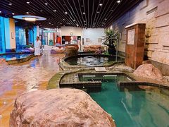 -天目湖涵田半山温泉