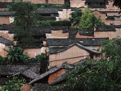 -杨家堂村