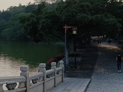 -惠州泗洲塔