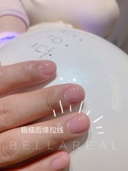 -BELLAREAL新美社