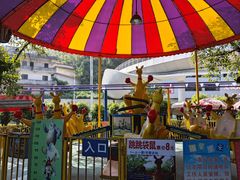 -顺德大良半月城游乐场