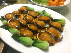 红烧鲍鱼-鑫悦楼煎蟹·16年海鲜大排档