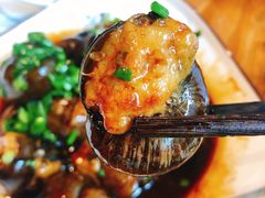 田螺塞肉-椿不老