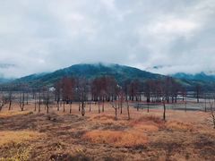 -塔川景区