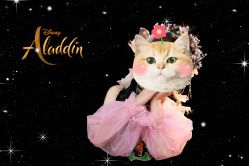 -蜜阁孕味亲子摄影(太奥广场店)