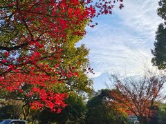 -浙江西子宾馆·瑶园咖啡厅