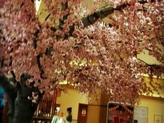 -大江户·温泉洗浴(浑南店)