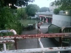 -光明港公园