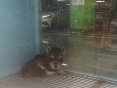 -FAELING PETS美天灵宠物(合生汇店)
