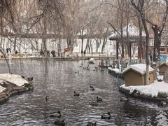 -水磨沟公园