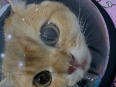 -佳雯宠物医院(金华南路分院)