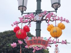 -上海迪士尼度假区