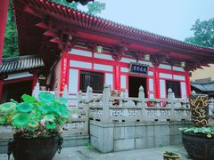 -灵谷景区