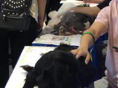 -海马体照相馆(合肥包河万达广场店)