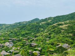 -枸杞岛