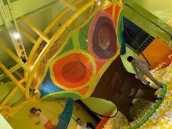 -宝燕乐园(闵行旗舰店)