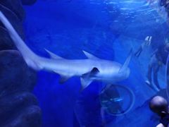 -多彩贵州城极地海洋世界