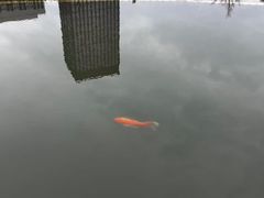 -龙潭水乡