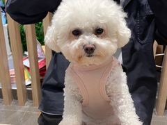 -BOARDGAMES CAFE - DOUBLE KILL GAMES 桌游吧