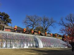 -红螺寺