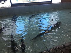 -胖姐渔村(中源大道店)