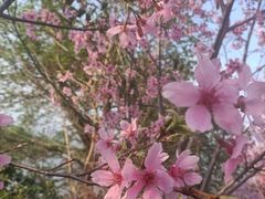 -福建鲤鱼洲酒店