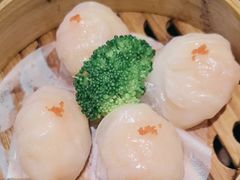 -岭南小生·粤港点心(南门口店)