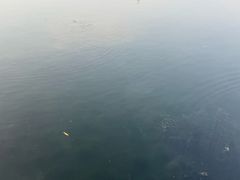 -百脉泉景区