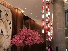 -扬州皇冠假日酒店