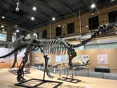 -国家自然博物馆