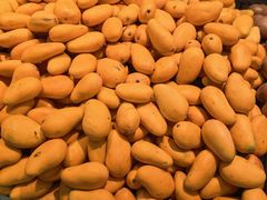 -新隆嘉 供销超市(修竹商场店)