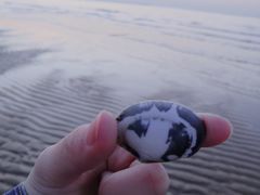 -四海鲜渔家菜(黄金海岸店)