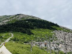 -朱雀国家森林公园