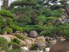 -罗红摄影艺术馆