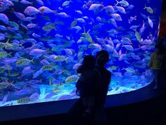 -成都浩海立方海洋公园